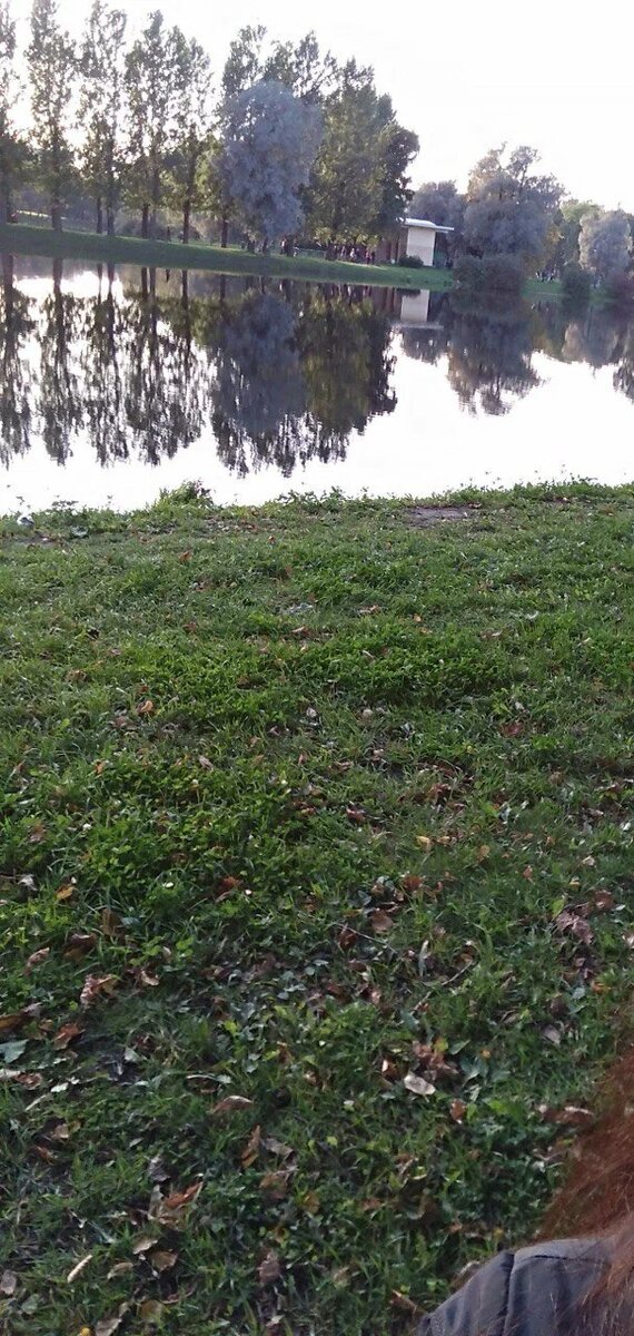 Вода в озере прозрачная, как стекло, и отражает деревья, создавая эффект высоты, иногда сложно понять, где кончаются деревья и начинается их отражение /личный архив автора/