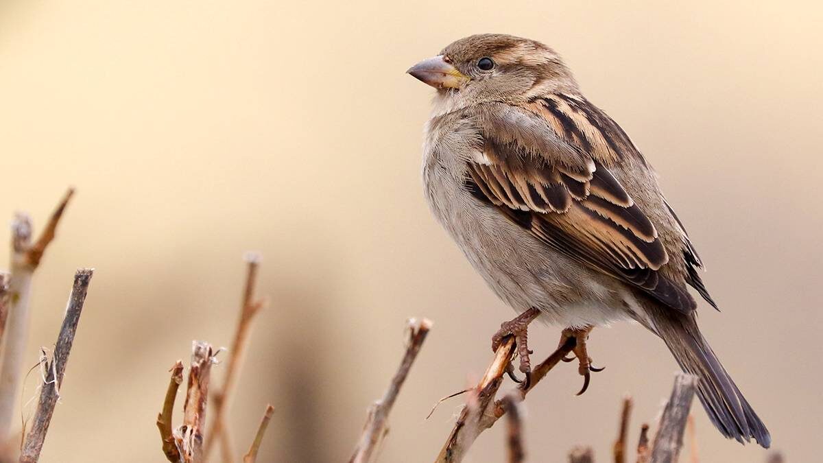    Фото: shutterstock