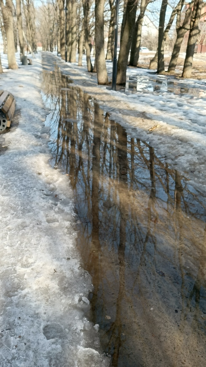 Это не речка, а дорожка в парке. 