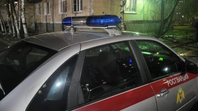 Фото: Пресс-служба ФГКУ "УВО ВНГ РФ по г.СПб и ЛО"