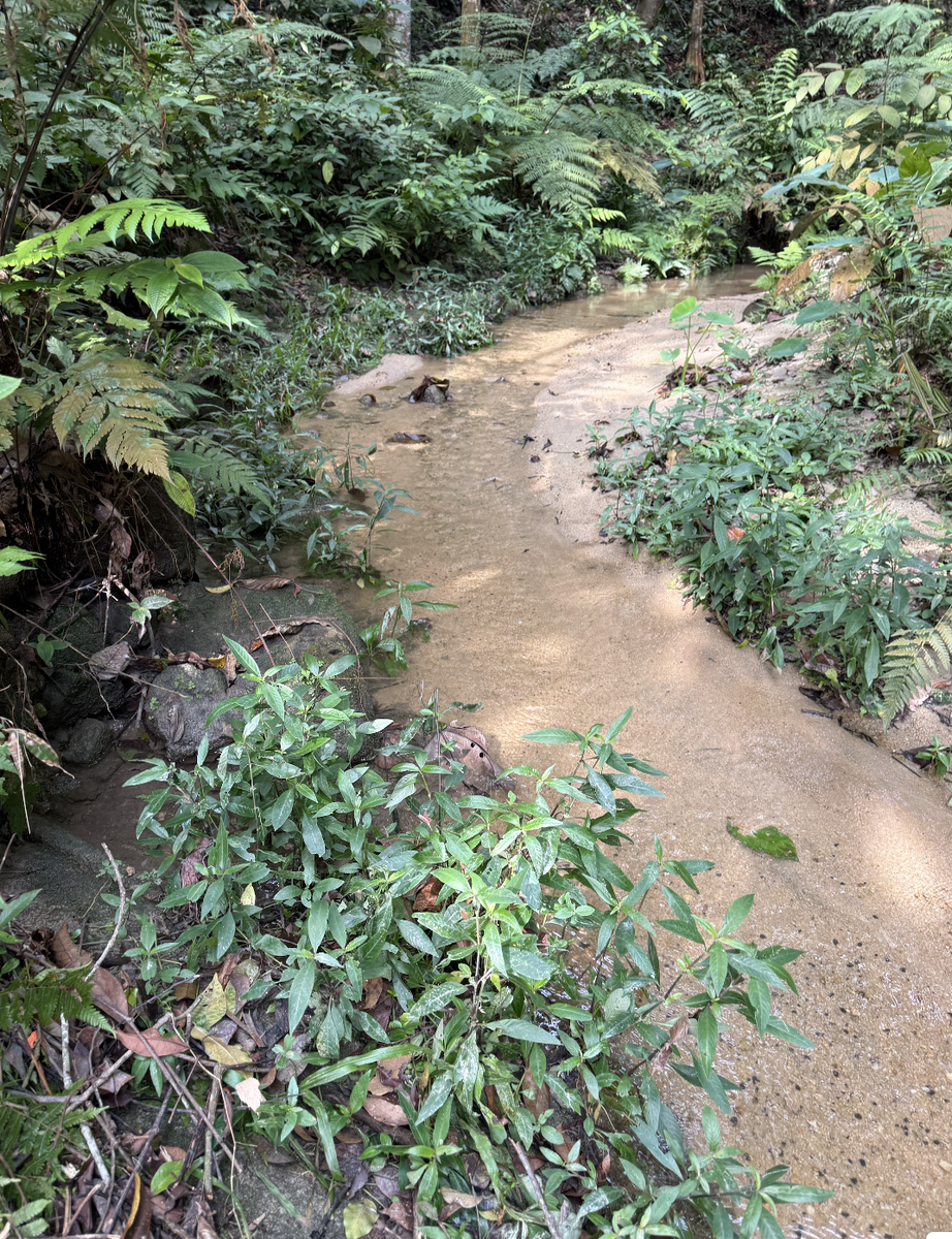 Речка поближе