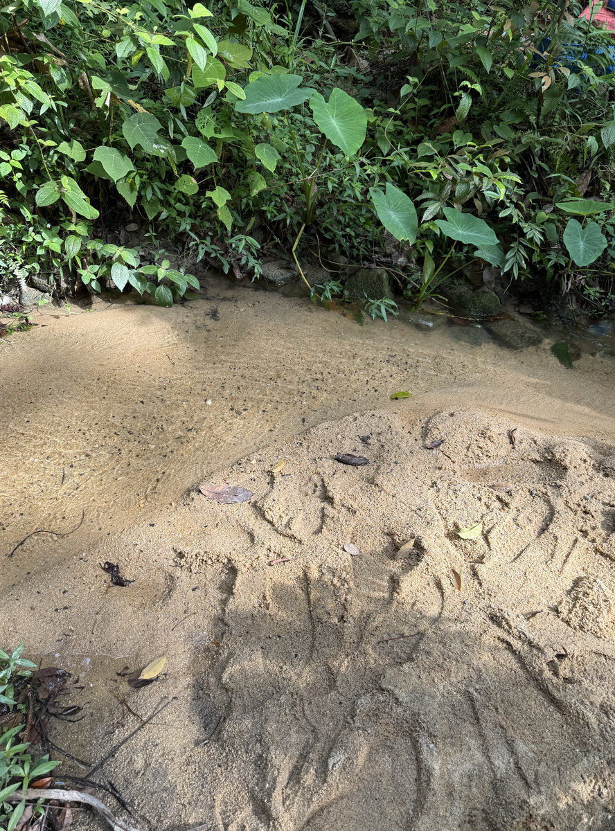 Здесь можно поиграть в песок и побродить босиком