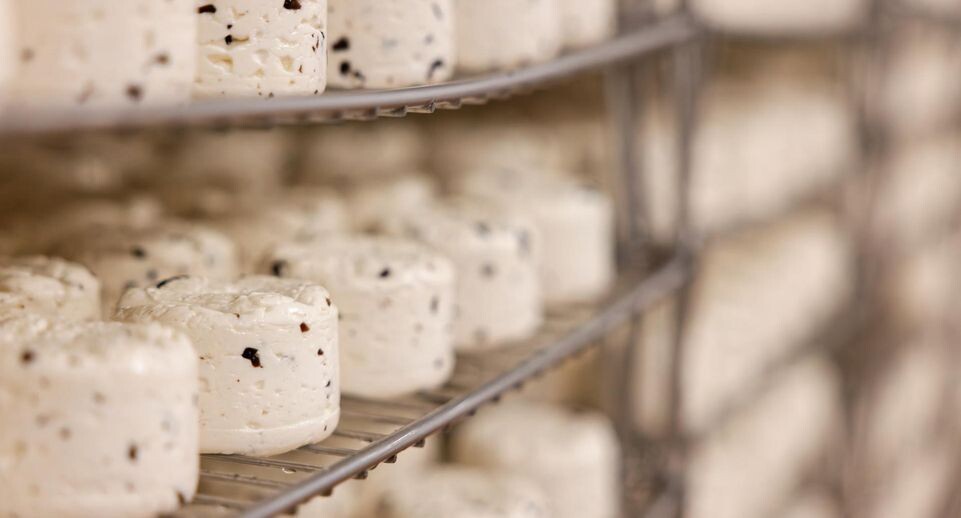    Медиасток.РФ