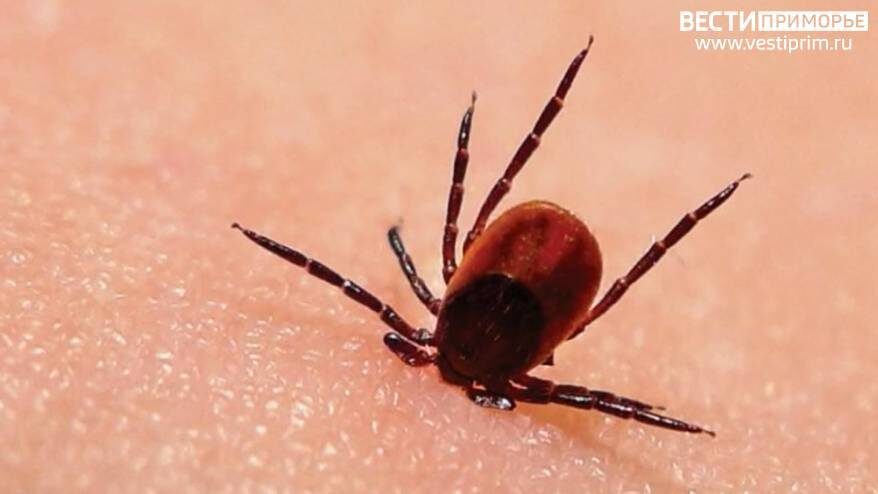    Источник фото: