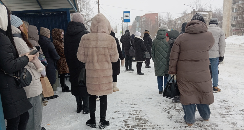    Фото: «Новый Тамбов»