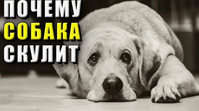 Фотография из интернета