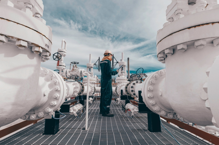    Shutterstock/FOTODOM