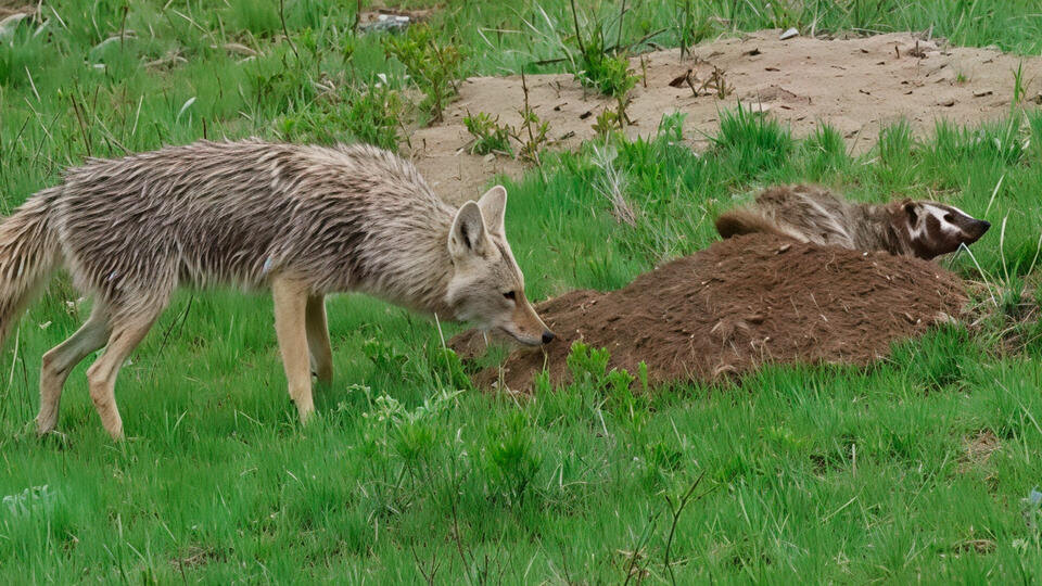 ФОТО: Кадр программы "Как устроен мир", РЕН ТВ