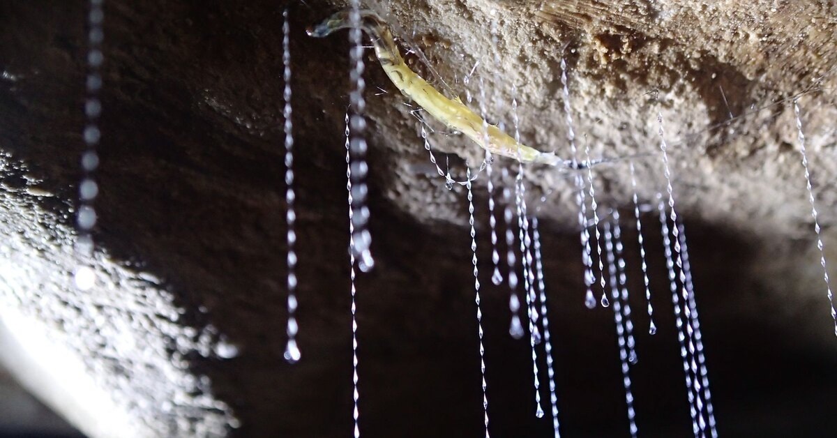 Источник фото - https://golnk.ru/VL21W