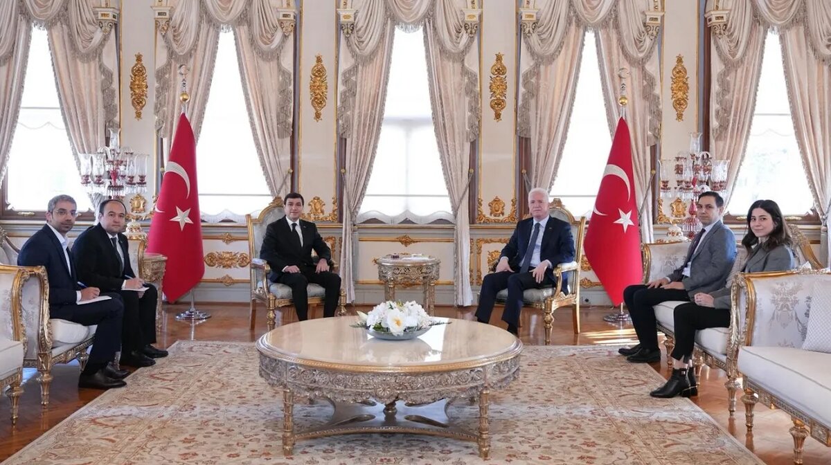    Цветокоррекция оригинального изображения была произведена с использованием ИИ "Ниязов 2.0"