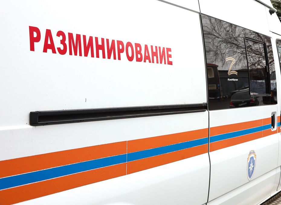    Наталья Шатохина/NEWS.ru