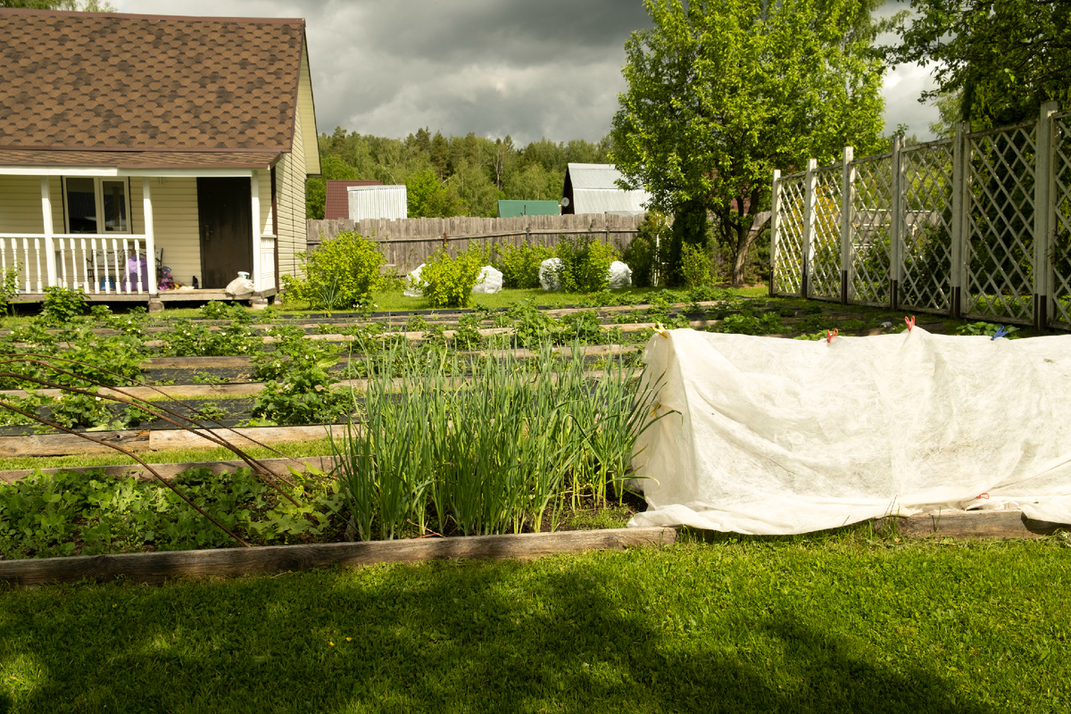 Designed by Freepik. Источник: www.freepik.com