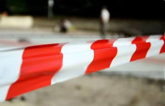    Фото: t.me/chp_sochi