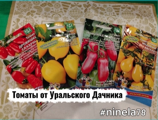 Томаты, которые уже высаживаю не первый сезон👌/коллаж автора 