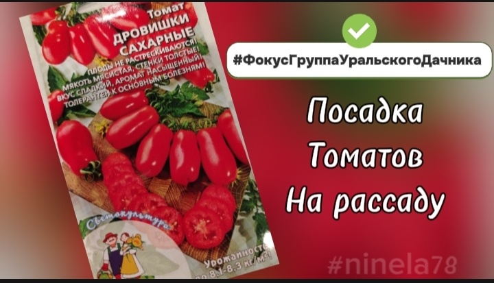 ДРОВИШКИ Сахарный первый сезон в тестировании/коллаж автора 