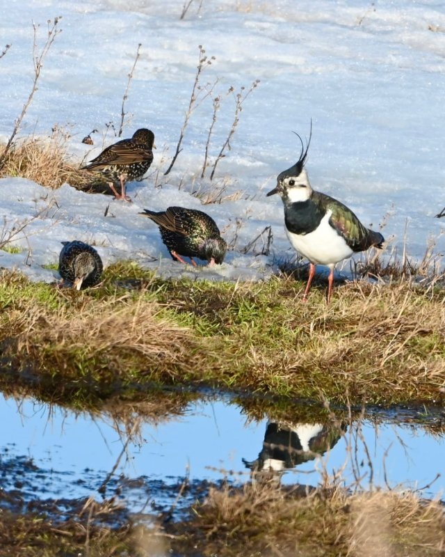     © фото - Лариса Басова и Наталья Маркова