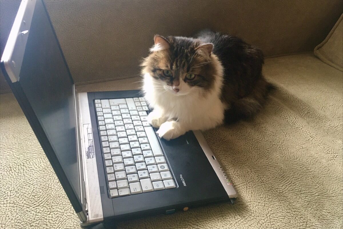    Фото: Сергей Ковалев