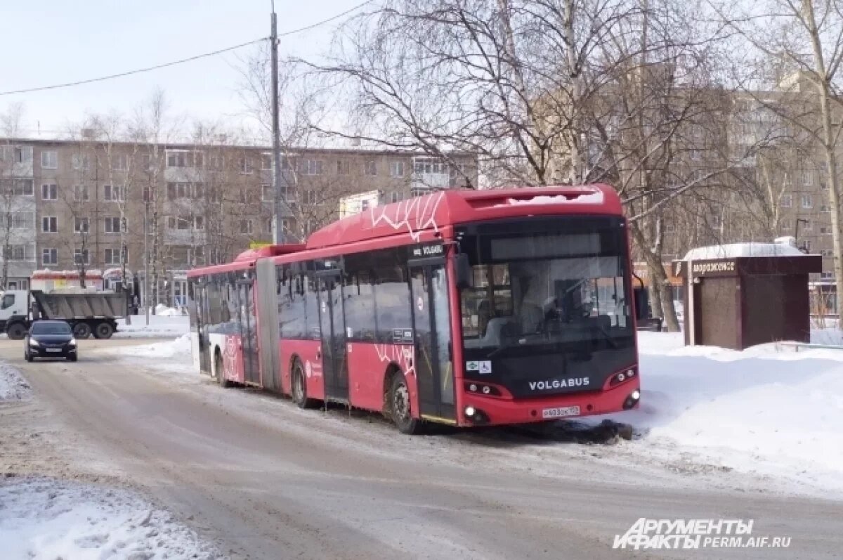    24 место Чебоксары заняли в рейтинге общественного транспорта