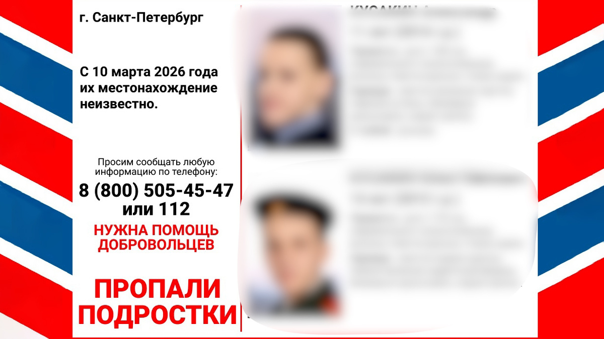    Пропавшие братья нашлись