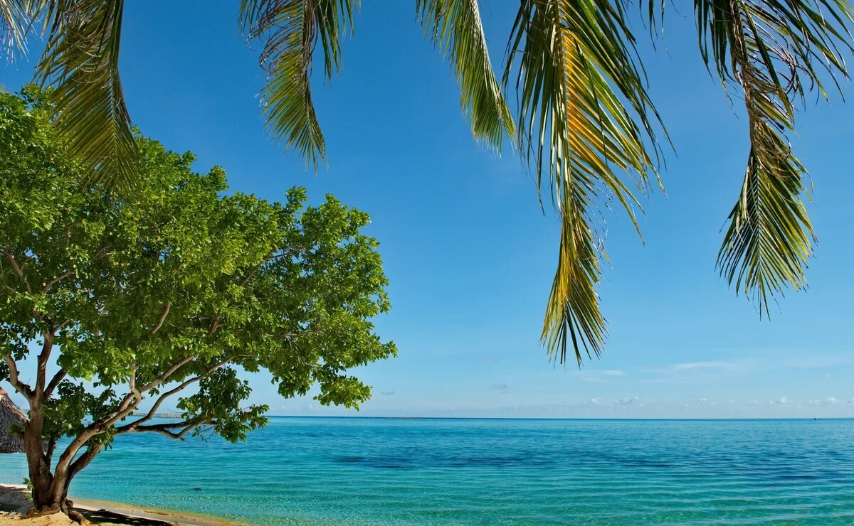    Малайзия без дешевых стыковок: как изменились маршруты перелетов и цены