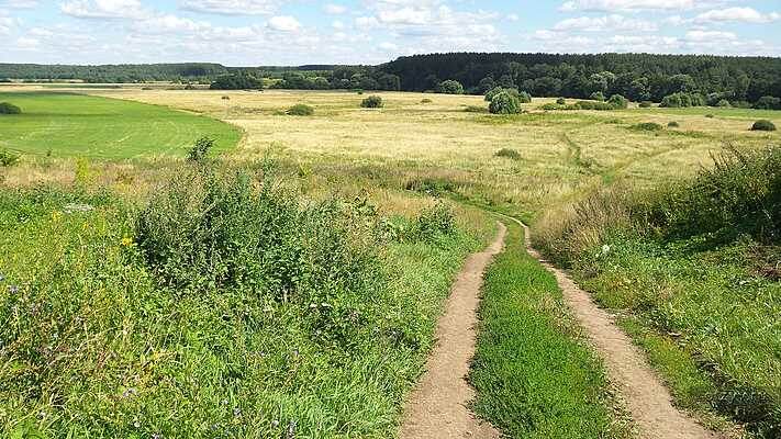 с открытого доступа.