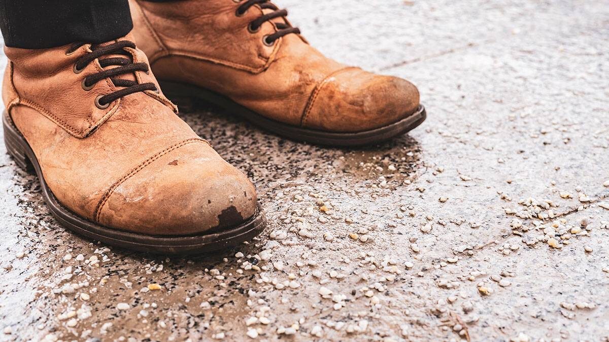    Фото: Shutterstock