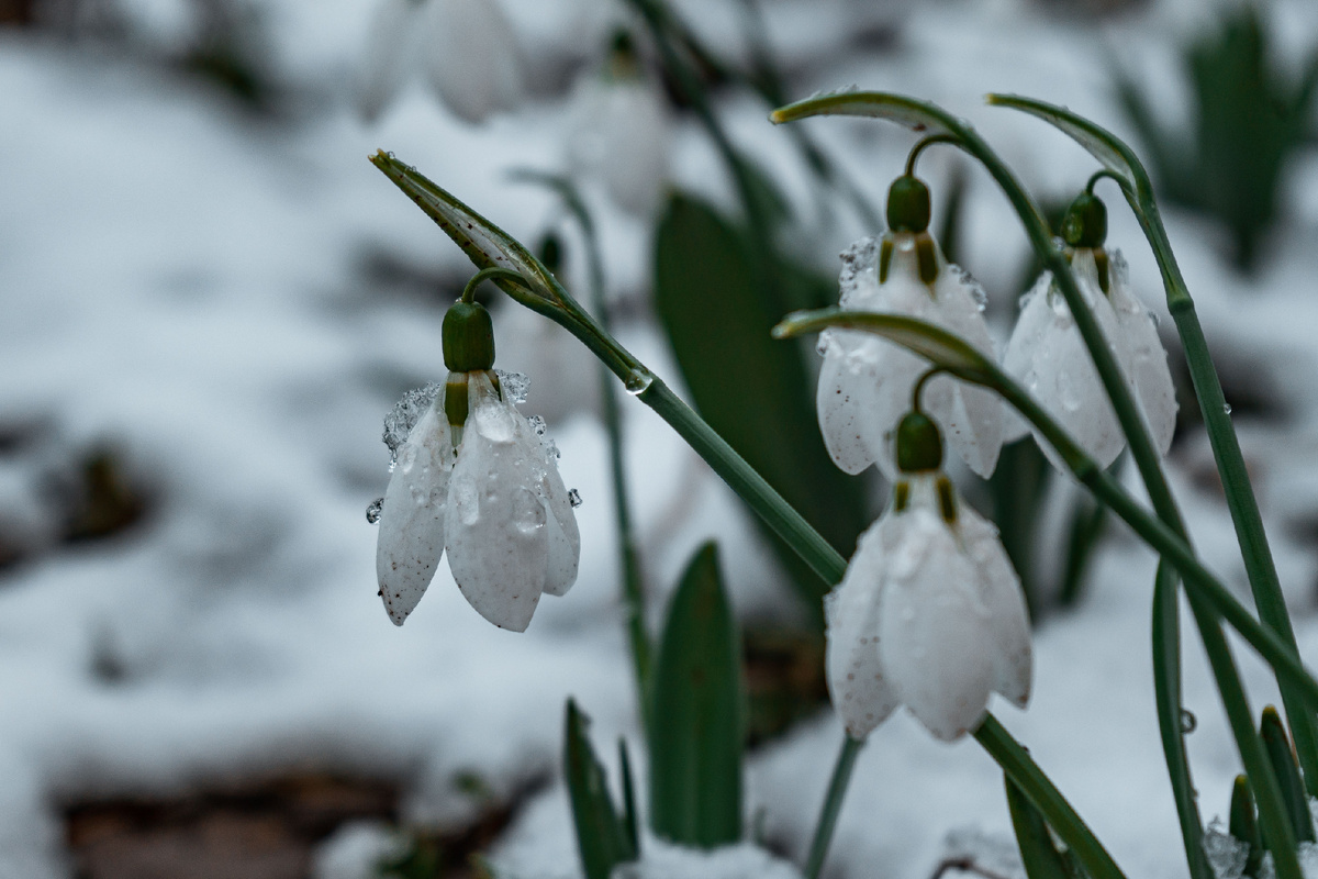 Фото: Shutterstock