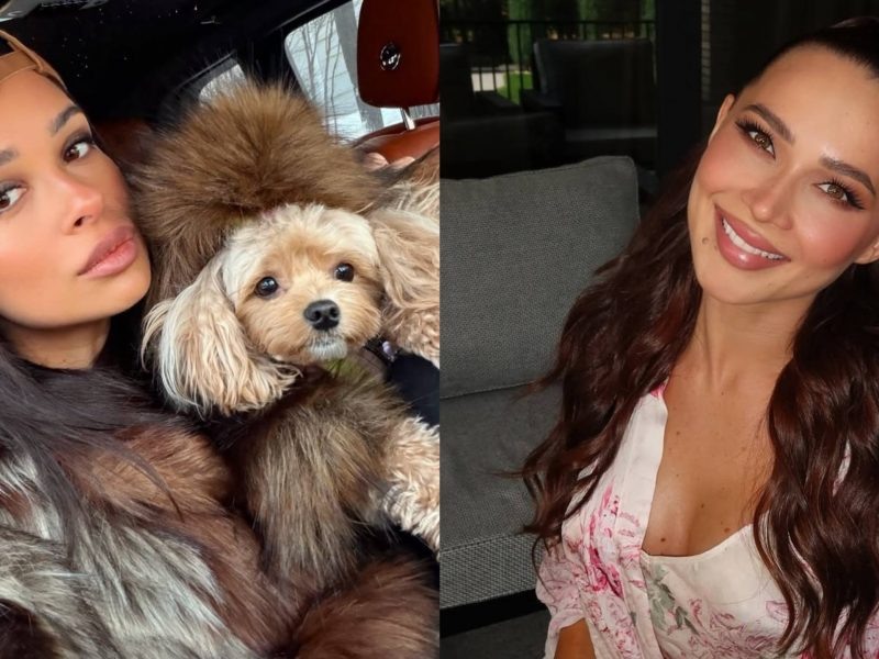 Источник https://bloknot.ru/wp-content/uploads/2026/03/photo_2026-03-11_09-59-36-800x600.jpg