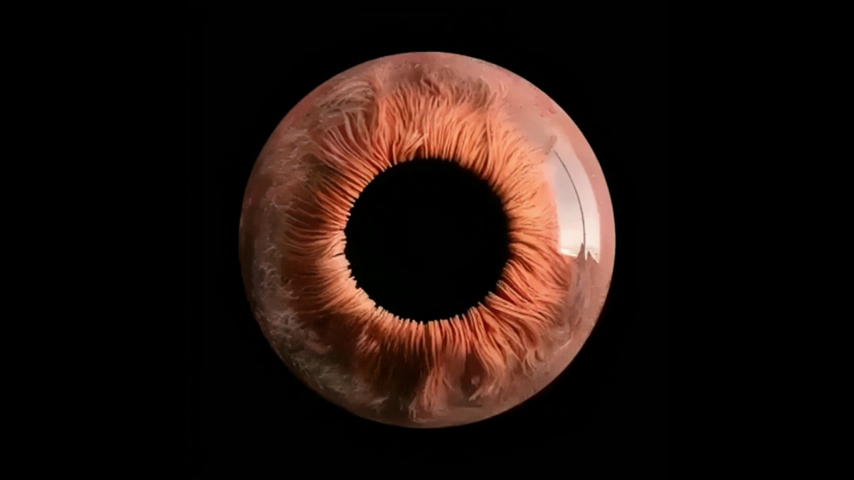 Кадр из программы "Вечерний хэштег"