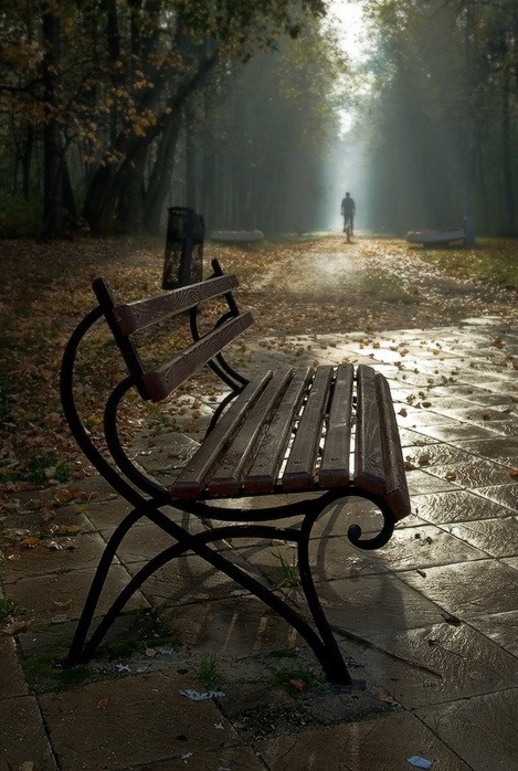 фото из интернета