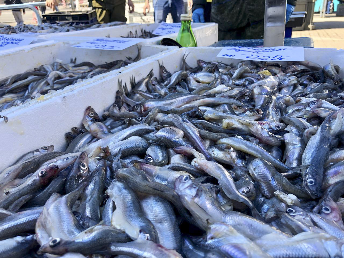 Традиционная торговля корюшкой стартует в первых числах апреля.  Фото: Фото: ФедералПресс / Кирилл Конторщиков