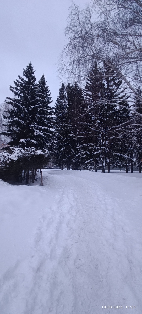 Где-то на просторах моего города. Фотография автора, март 2026 года. 