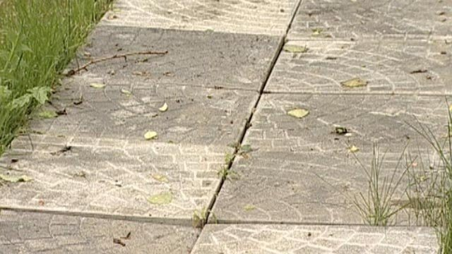 Выкинула 150 тысяч на ветер: история моей новой дорожки, которая не пережила первую зиму. Разбор полетов с опытным строителем