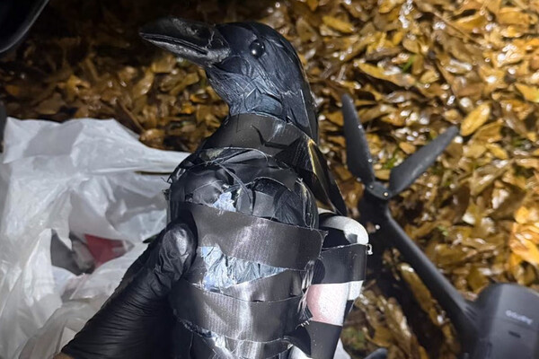 Grant Parish Sheriff's Office   📷