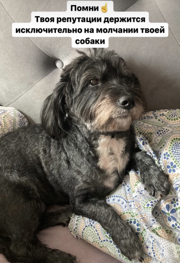 Фото автора 