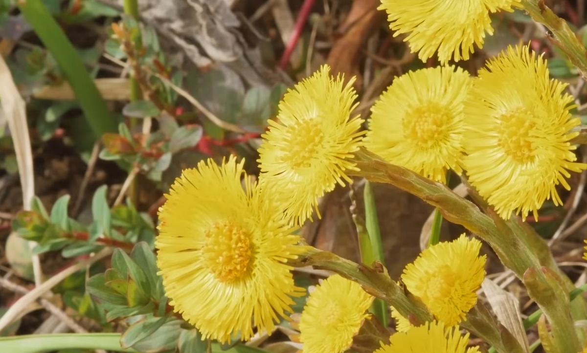 Скриншот с видео Youtube