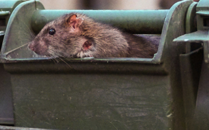    Николай Смирнов