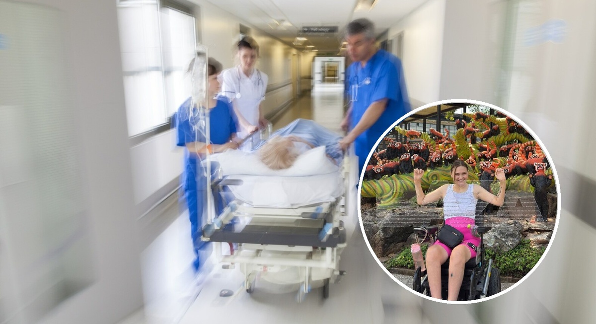 Фото: тг-канал Baza; pxhere