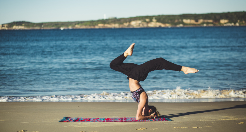    Фото: pxhere.com