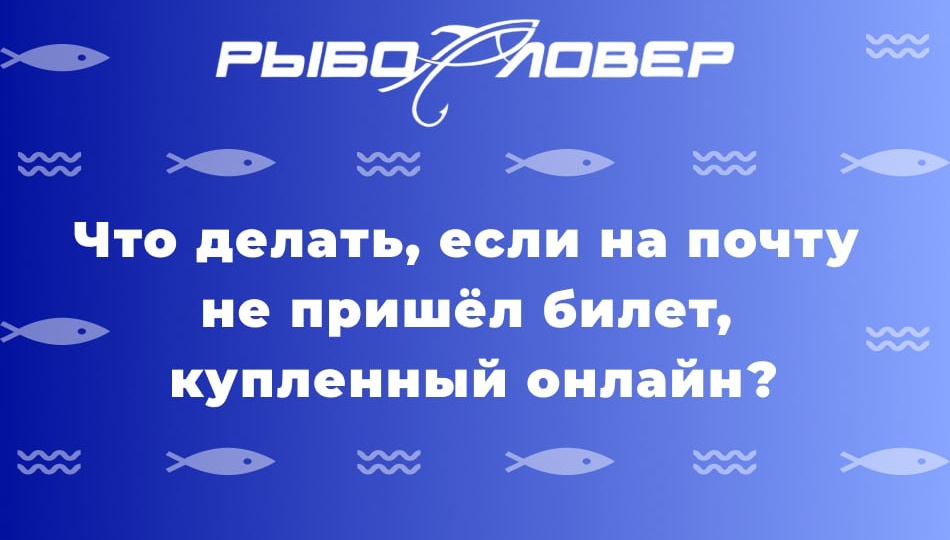 Если вы купили билет онлайн, оплата списалась, но на почту он так и не пришёл, воспользуйтесь сервисом оператора продажи