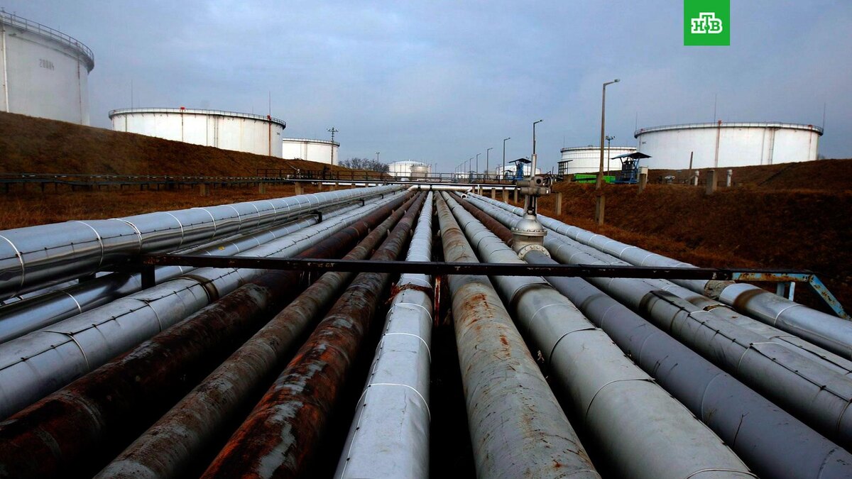    Фото: ZSOLT SZIGETVARY / EPA / ТАСС