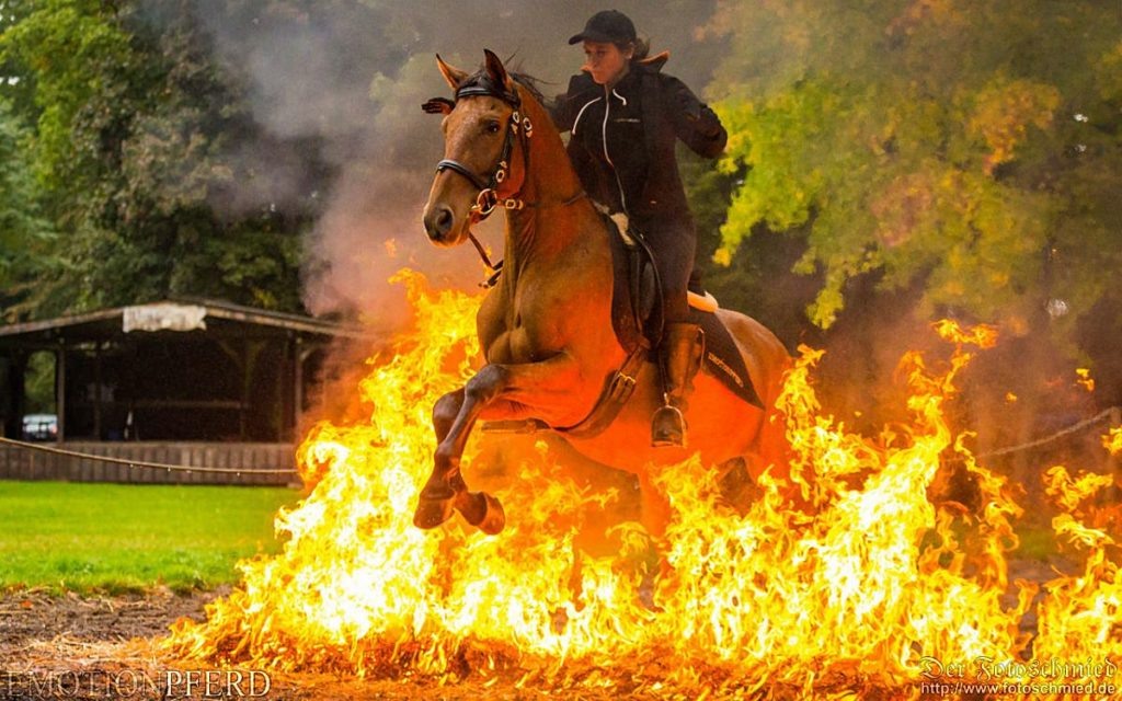 Патриция Байссель фон Гюмних. Фото: Майк Гёре. Интервью для журнала "Культ лошадей"
