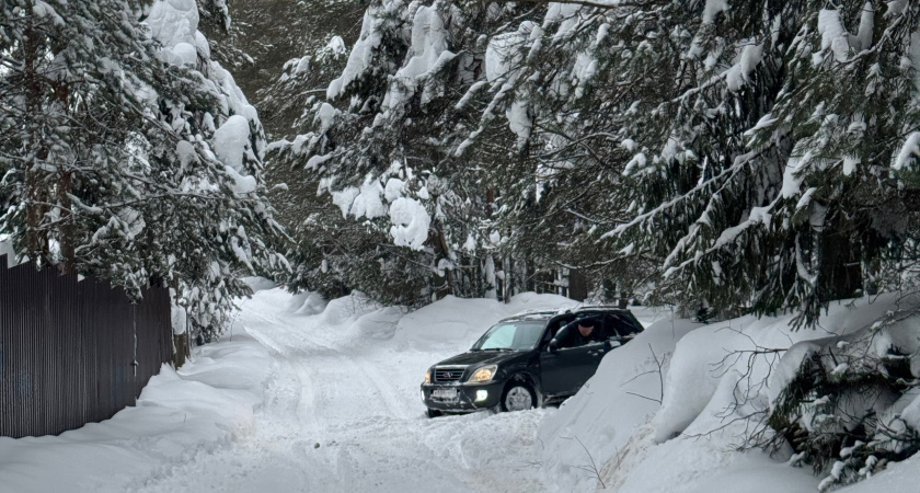    Фото: progorod43.ru