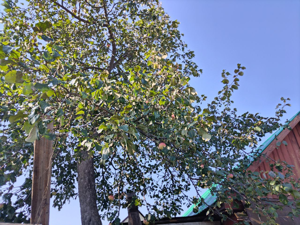 Фото автора.