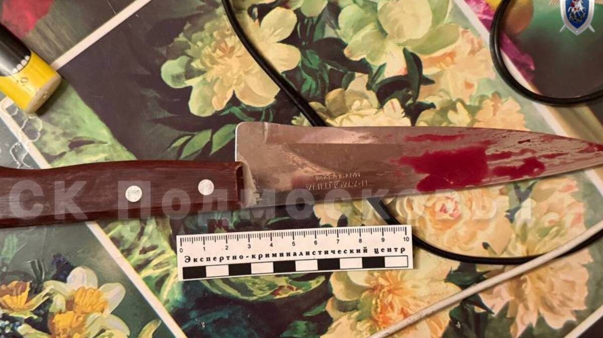    Фото: СК Подмосковья / Telegram