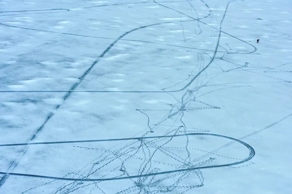    Дирижёра Гайдукова на Ладоге искали добровольцы из Петербурга