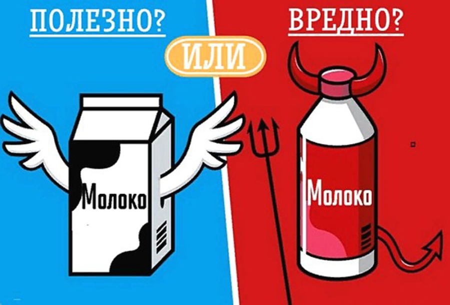     По стакану белого? Влияют ли молоко и молочные продукты на здоровье человека? Разбирались