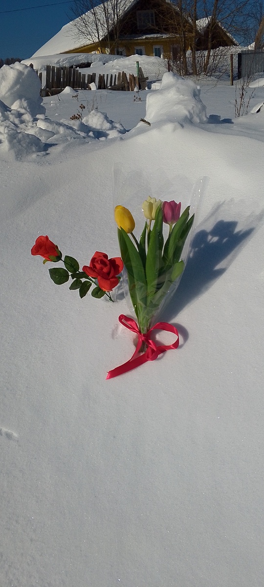 В зади дома 🌷 