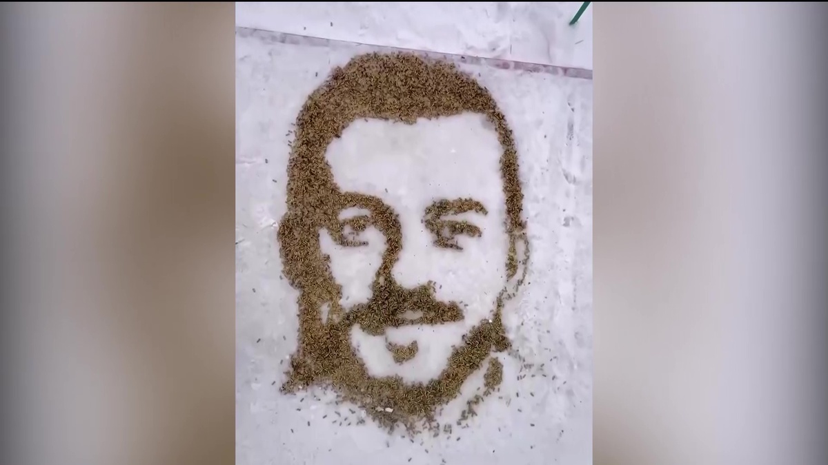    Уфимская художница Евгения Сковарт создала портрет биатлониста Антона Бабикова из гильз