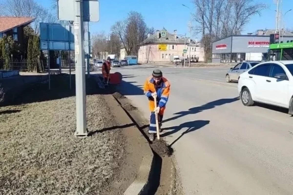    Месячник чистоты стартует в Пскове 1 апреля